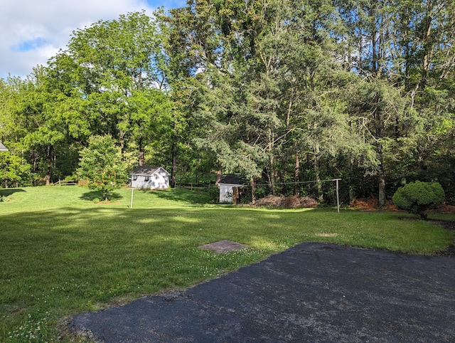 1987 Franklin St, Rocky Mount, VA 24151 - view of grassy yard featuring a storage unit and an outbuilding