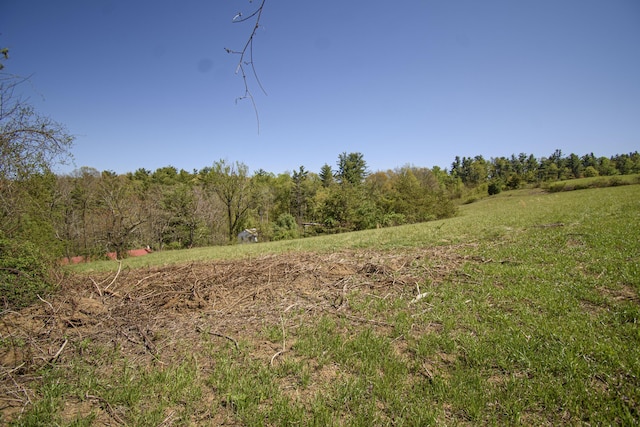 TRACT5 Conner Ln SE, Copper Hill, VA 24079