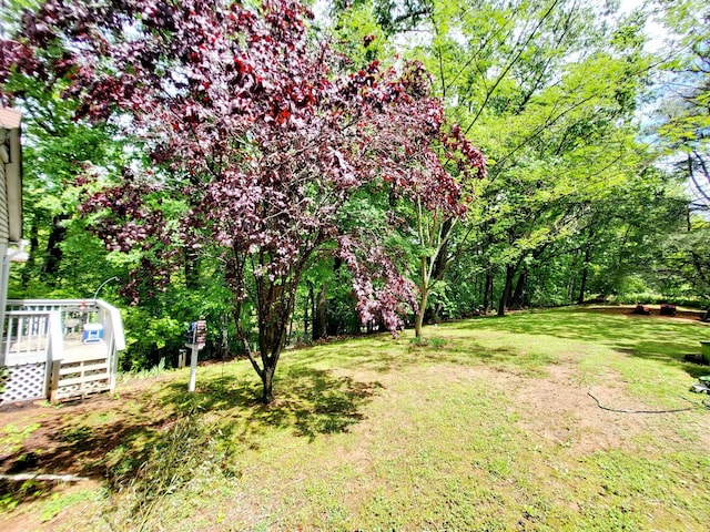1652 Happy Acres Dr, Moneta, VA 24121 - view of grassy yard featuring a deck
