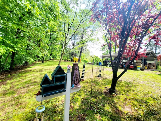 1652 Happy Acres Dr, Moneta, VA 24121 - surrounding community with a lawn
