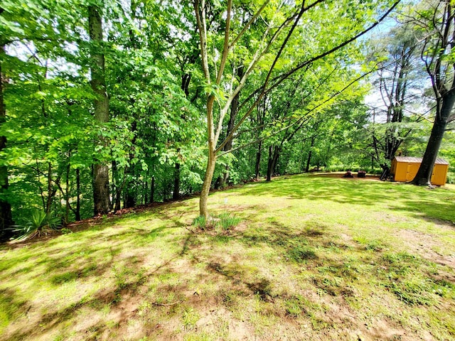1652 Happy Acres Dr, Moneta, VA 24121 - view of grassy yard with a shed and an outbuilding