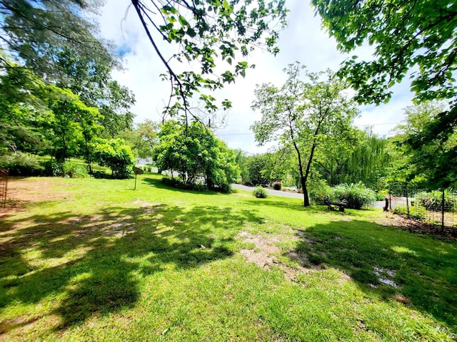 1652 Happy Acres Dr, Moneta, VA 24121 - view of yard