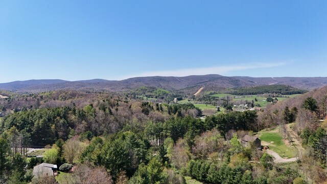 0 Ivy Ridge Rd, Bent Mountain, VA 24059
