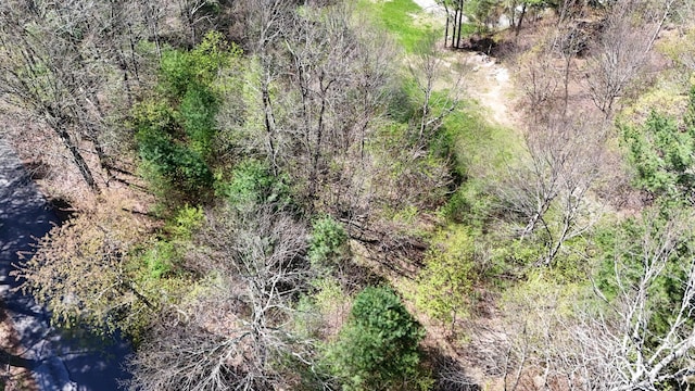 0 Ivy Ridge Rd, Bent Mountain, VA 24059
