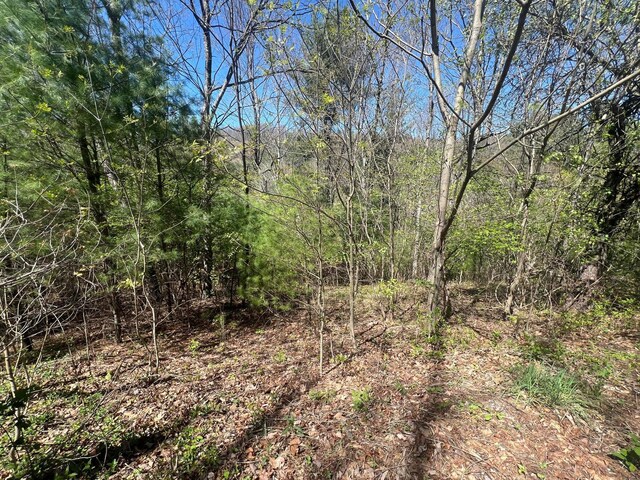 0 Ivy Ridge Rd, Bent Mountain, VA 24059