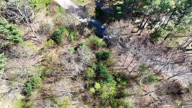 0 Ivy Ridge Rd, Bent Mountain, VA 24059