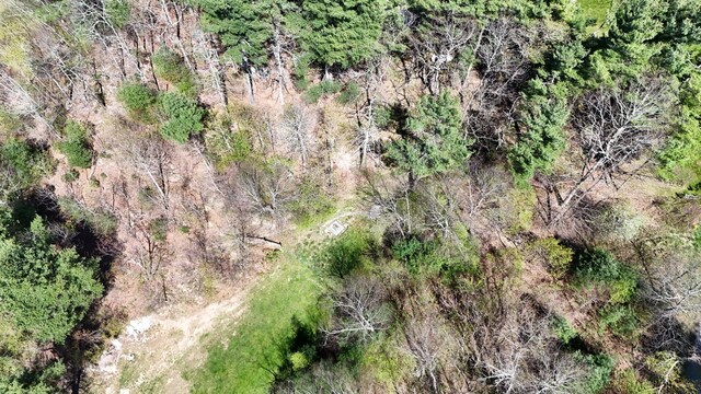 0 Ivy Ridge Rd, Bent Mountain, VA 24059
