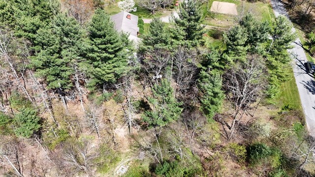 0 Ivy Ridge Rd, Bent Mountain, VA 24059
