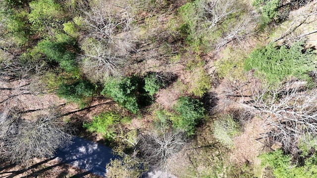 0 Ivy Ridge Rd, Bent Mountain, VA 24059