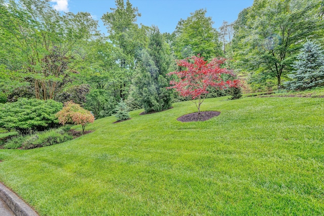 view of grassy yard