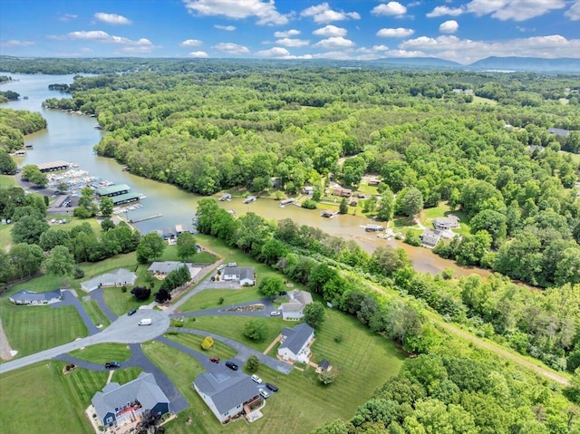 414 Mallard Cove Rd, Moneta, VA 24121 - aerial view of a nearby body of water and a forest