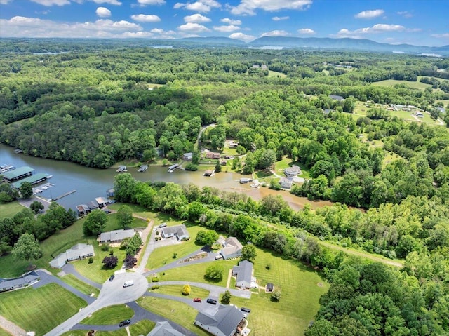 414 Mallard Cove Rd, Moneta, VA 24121 - aerial view of a forest and a nearby body of water