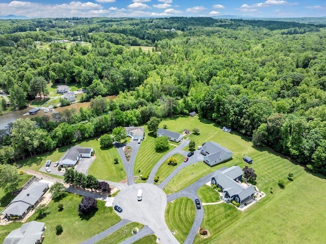 414 Mallard Cove Rd, Moneta, VA 24121 - aerial view of a forest