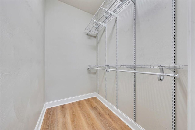 2521 Feather Garden Cir, Vinton, VA 24179 - spacious closet featuring light wood finished floors