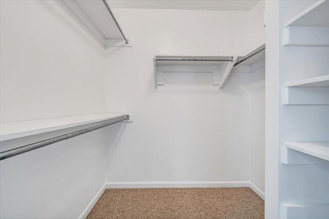 7204 Snowberry Cir, Roanoke, VA 24019 - walk in closet featuring carpet flooring