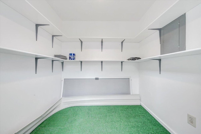 7204 Snowberry Cir, Roanoke, VA 24019 - spacious closet with carpet flooring