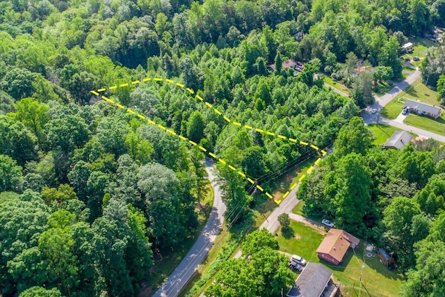 66 Adrian St, Bassett, VA 24055 - aerial overview of property's location featuring property boundaries highlighted and a forest