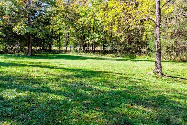 view of green lawn