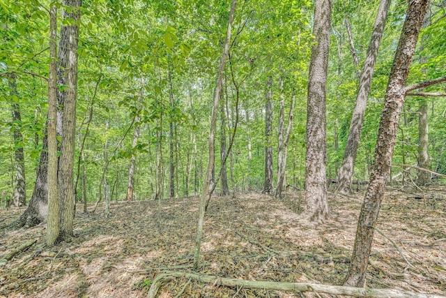 LOT27 Oak Hollow Rd, Moneta, VA 24121