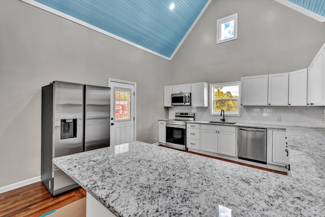 475 S Main St, Rocky Mount, VA 24151 - kitchen featuring stainless steel appliances, a sink, high vaulted ceiling, dark wood-type flooring, and light stone countertops