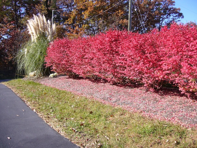 315 Northridge Rd, Hardy, VA 24101 - view of yard
