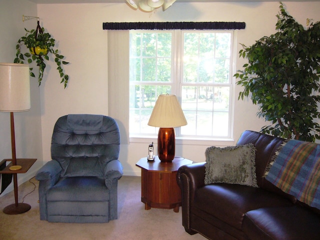 315 Northridge Rd, Hardy, VA 24101 - sitting room featuring healthy amount of natural light, carpet flooring, and baseboards
