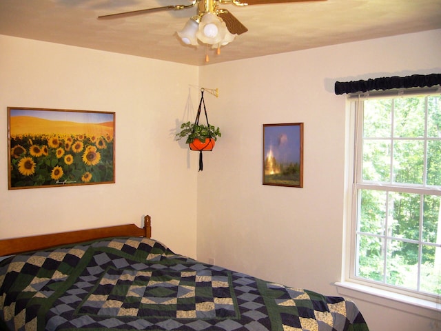 315 Northridge Rd, Hardy, VA 24101 - bedroom featuring a ceiling fan