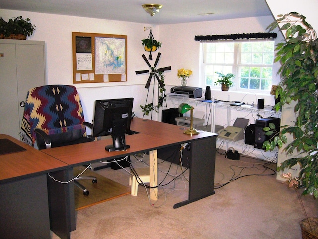 315 Northridge Rd, Hardy, VA 24101 - view of carpeted home office