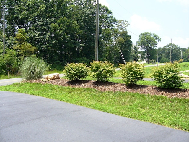 315 Northridge Rd, Hardy, VA 24101 - view of grassy yard