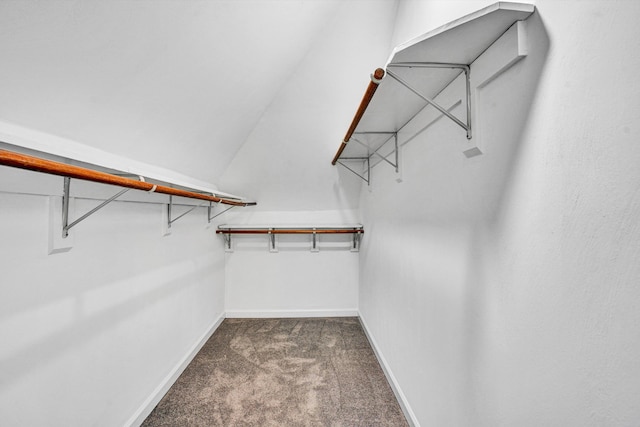 spacious closet featuring dark colored carpet