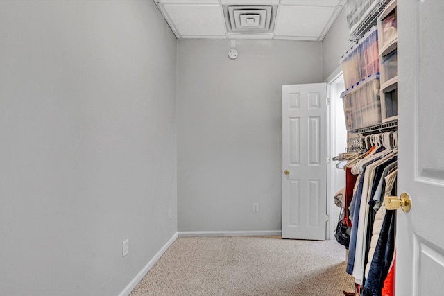 spacious closet with carpet floors