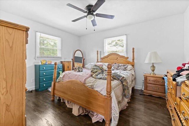 bedroom featuring multiple windows, wood finished floors, and a ceiling fan
