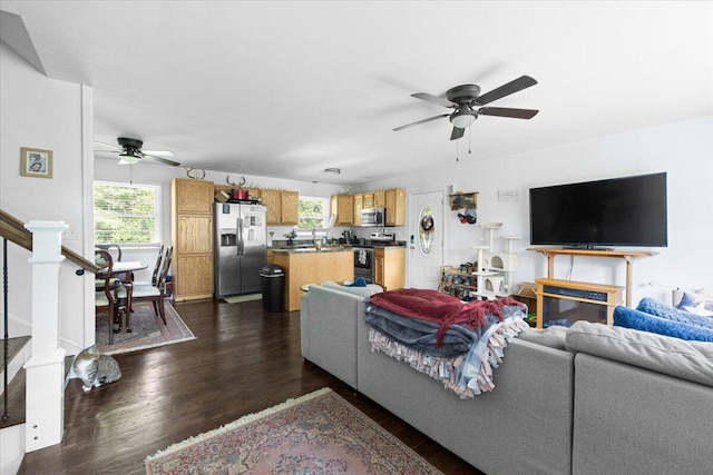 living area featuring a ceiling fan, plenty of natural light, dark wood-style flooring, and stairs