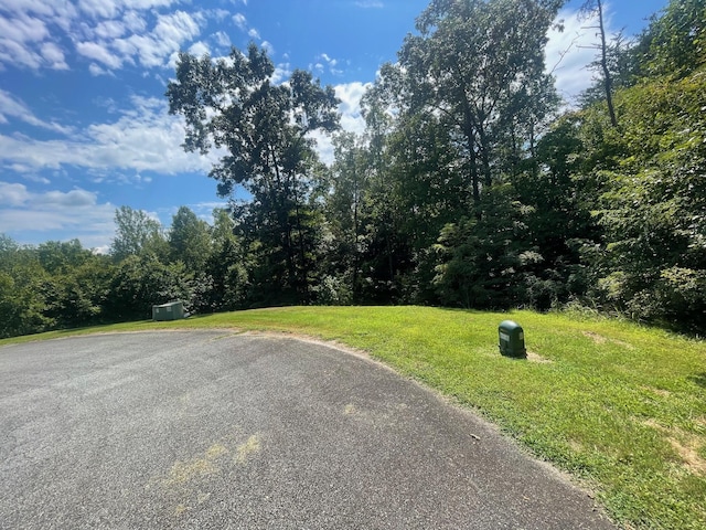 0 Independence Ln, Wirtz, VA 24184