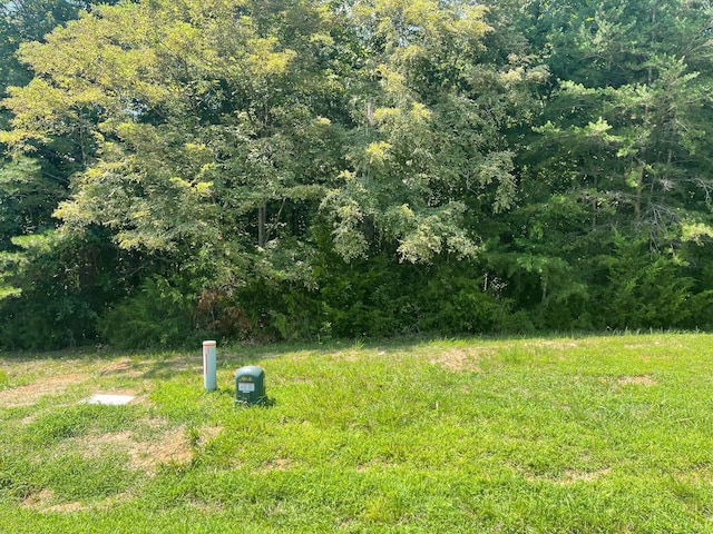0 Independence Ln, Wirtz, VA 24184