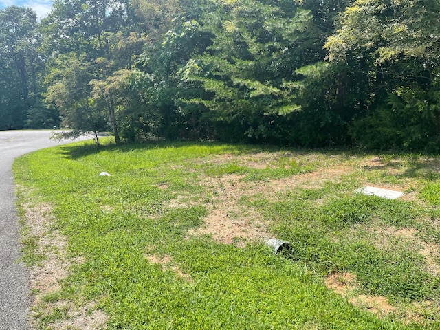 0 Independence Ln, Wirtz, VA 24184