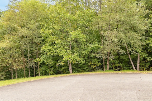 0 Independence Ln, Wirtz, VA 24184