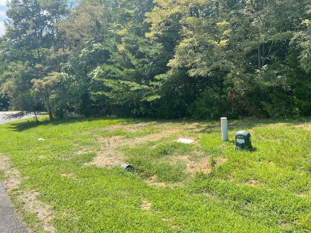 0 Independence Ln, Wirtz, VA 24184