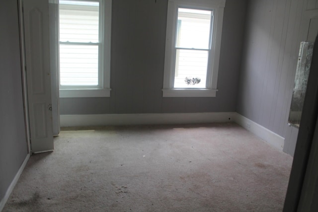 705 Rose Ave, Clifton Forge, VA 24422 - carpeted spare room with plenty of natural light, baseboards, and wood walls