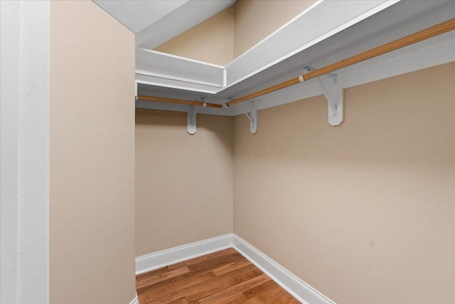walk in closet featuring wood finished floors