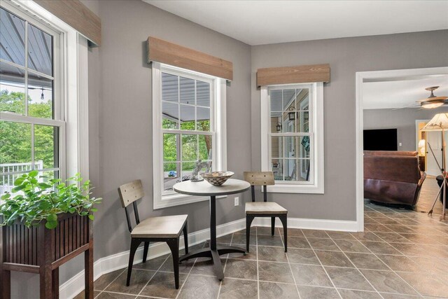 5565 Carons View Ln, Roanoke, VA 24014 - dining area featuring plenty of natural light, baseboards, and ceiling fan