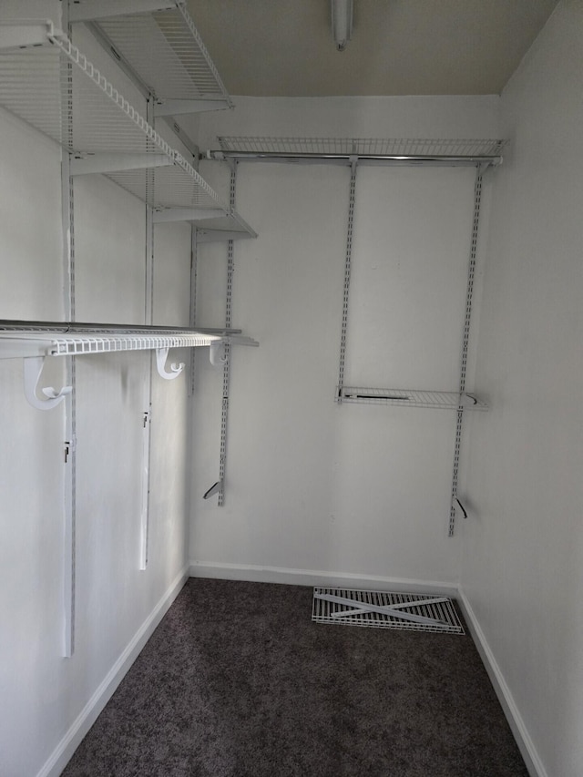 100 View Dr, Goodview, VA 24095 - spacious closet with carpet floors