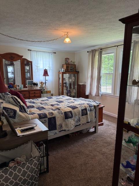 1134 Coolbrook Rd, Bedford, VA 24523 - bedroom with a textured ceiling and dark carpet