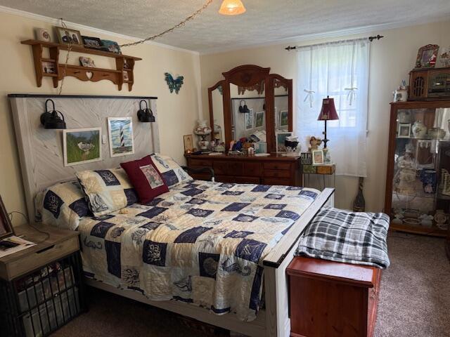 1134 Coolbrook Rd, Bedford, VA 24523 - bedroom with crown molding, carpet floors, and a textured ceiling