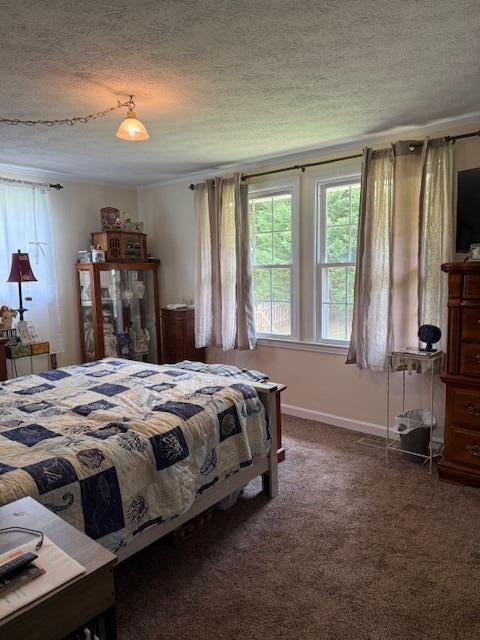 1134 Coolbrook Rd, Bedford, VA 24523 - bedroom with a textured ceiling, dark carpet, and baseboards