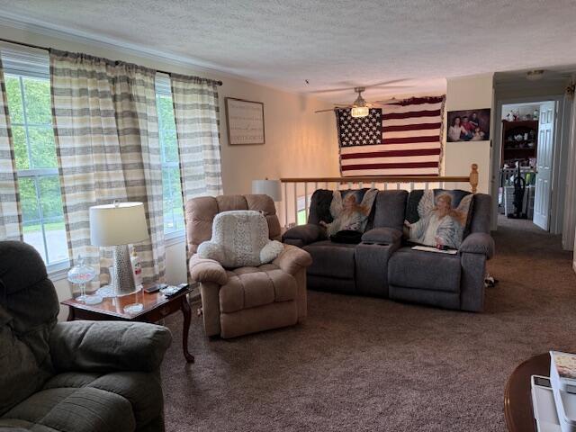 1134 Coolbrook Rd, Bedford, VA 24523 - living area with carpet floors, a textured ceiling, and crown molding
