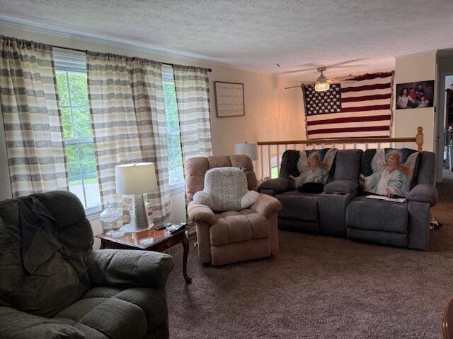 1134 Coolbrook Rd, Bedford, VA 24523 - living area with a textured ceiling, carpet flooring, and ornamental molding