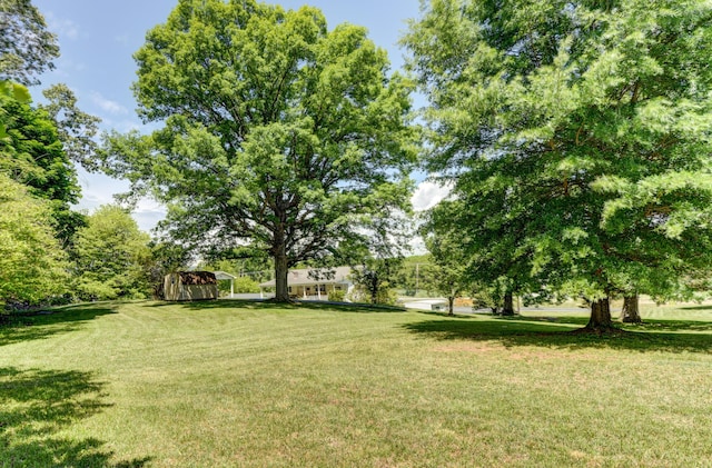 2770 W Lynchburg Salem Tpke, Bedford, VA 24523 - view of grassy yard featuring an outbuilding and a carport