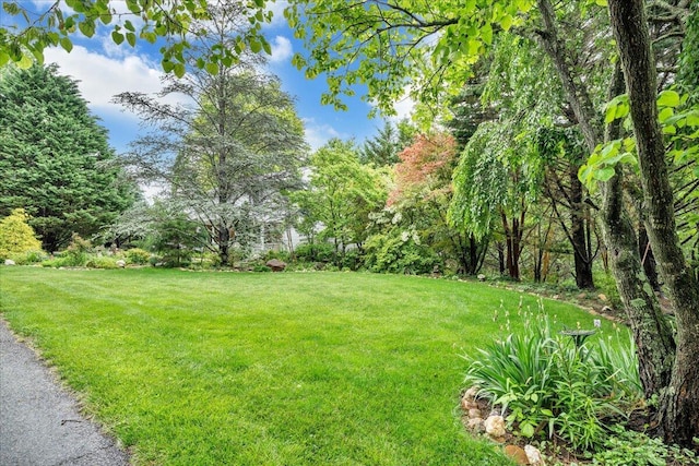 6553 Pencheck Cir, Roanoke, VA 24018 - view of green lawn