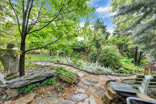 6553 Pencheck Cir, Roanoke, VA 24018 - view of yard featuring a garden